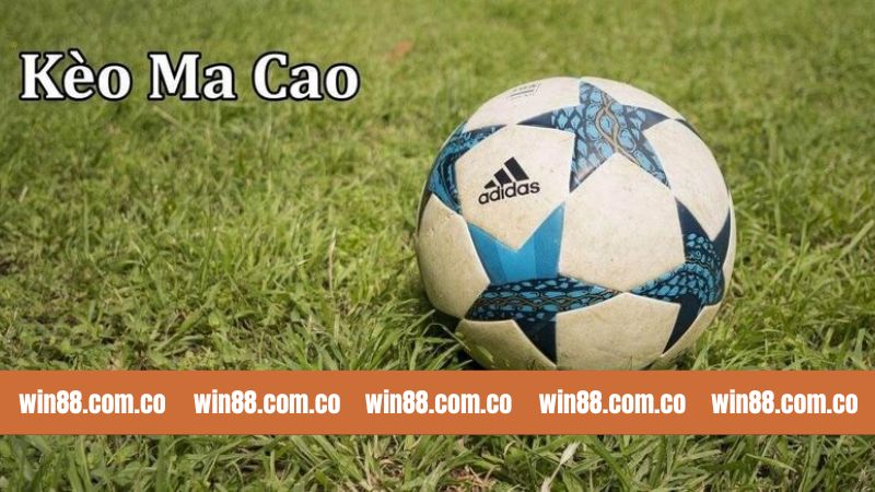 Bí Quyết Soi Kèo Ma Cau Hiệu Quả Từ Cao Thủ Nhà Cái Win88 2 Giới thiệu tổng quan về kèo cược Ma Cau